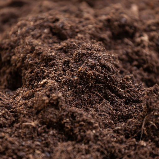 humus rich soil