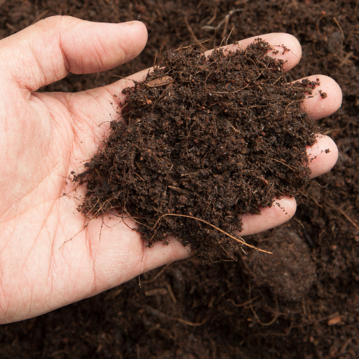 humus rich soil