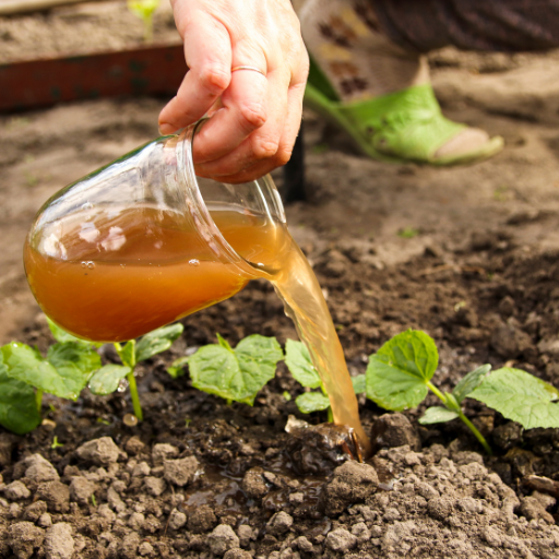 liquid fertilizer for vegetables