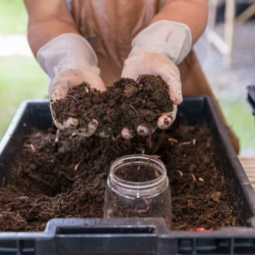 What is Organic Fertilizer and Why is it Important?