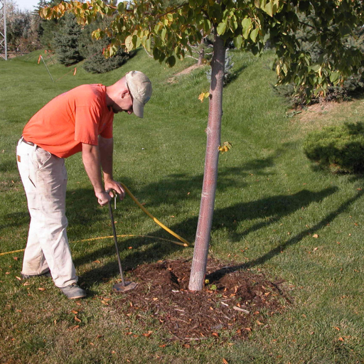 What are the Best Practices for Organic Gardening with Trees and Shrubs?