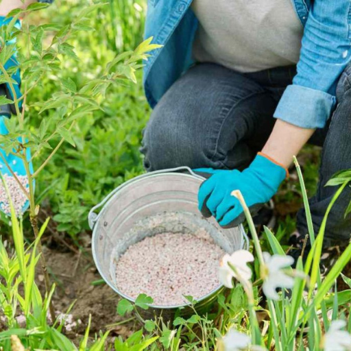 Can Organic Bloom Fertilizers Help with Vegetable and Fruit Plants?