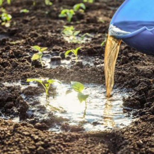 Can You Make Your Own Organic Liquid Fertilizer at Home?