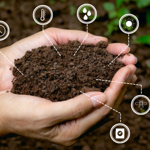 What is Liquid Humic Acid Organic Fertilizer?