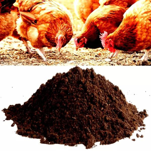 organic chicken fertilizer