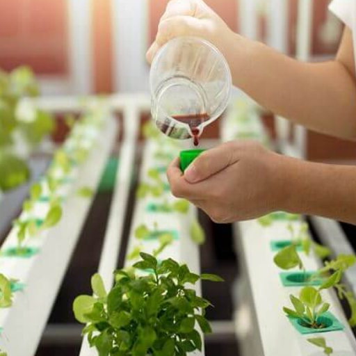 organic fertilizer for hydroponics