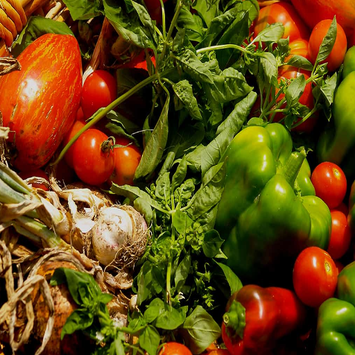organic fertilizer for tomatoes and peppers