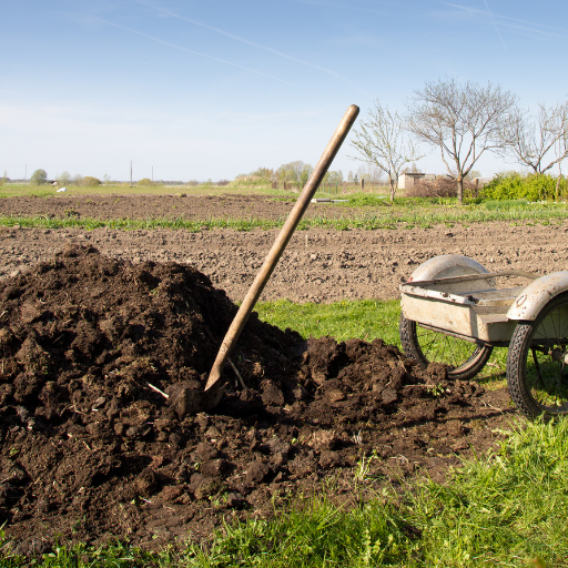 strawberry fertilizer