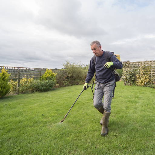 nitrogen fertilizer for grass