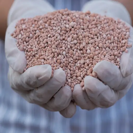 Potash Fertilizer: The Essential Role of Potassium in Modern Agriculture