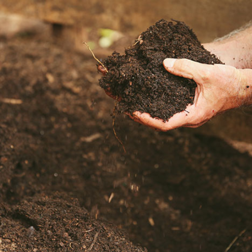 Can You Use Organic Top Soil in Pots and Containers?