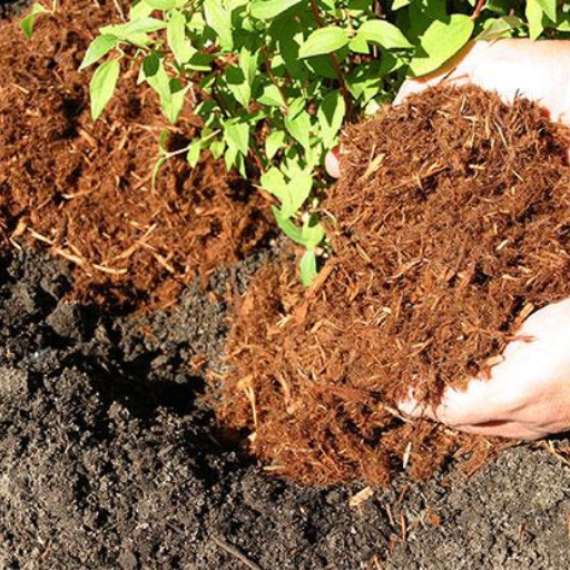 What Are the Best Soil Amendments to Use With Top Soil?