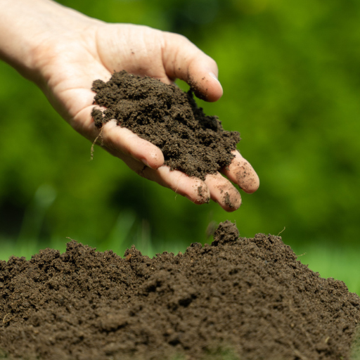 How to Maintain Healthy Organic Top Soil in Your Garden