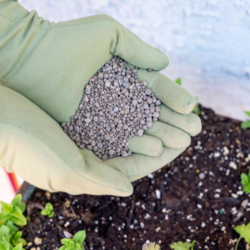 organic tomato fertilizer with calcium
