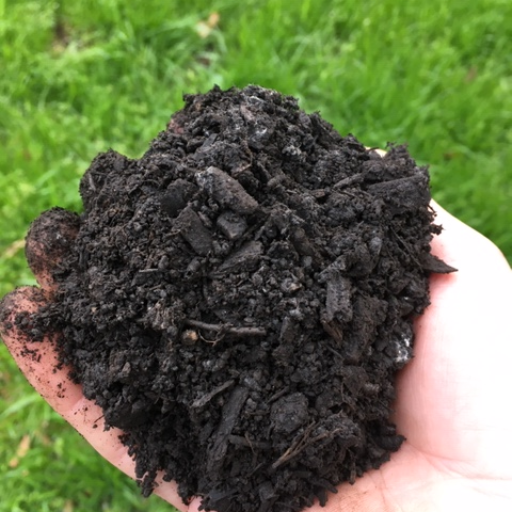 organic top soil no fertilizer
