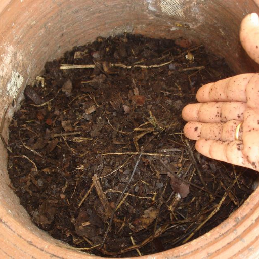 Ways to start composting your kitchen scraps at home