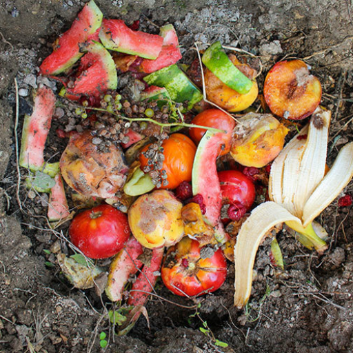 Making liquid fertilizer from kitchen waste