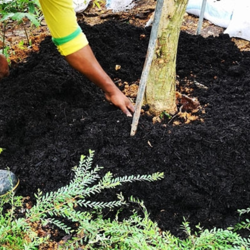 Application Techniques: How to Properly Fertilize Your Fruit Trees