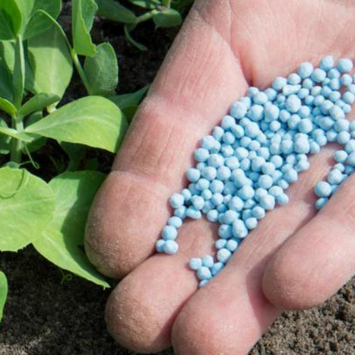 Properly Applying Organic Granular Fertilizer to Your Vegetable Garden