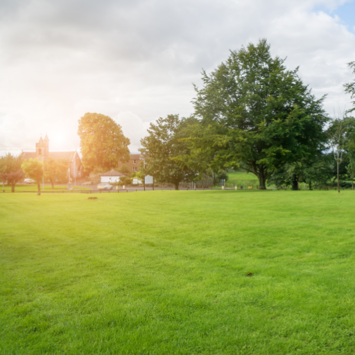 can you over fertilize your lawn