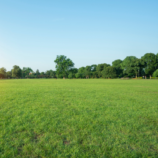 can you over fertilize your lawn