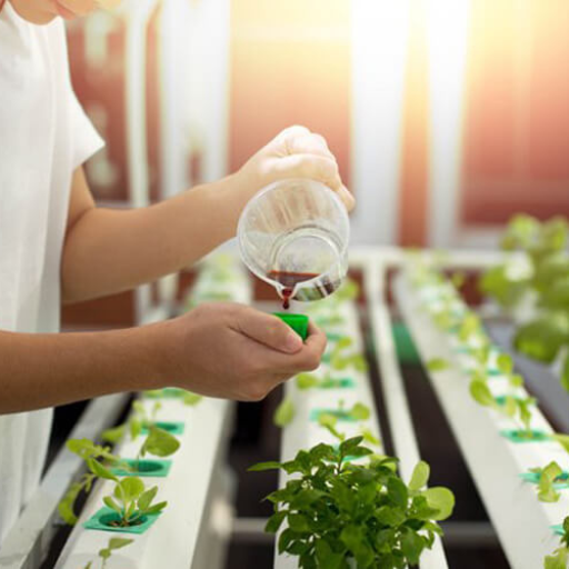 What is Organic Hydroponic Fertilizer?