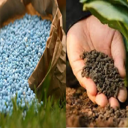 How Do Organic and Inorganic Fertilizers Differ?