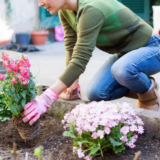 What Makes Organic Bloom Fertilizer the Best Choice for Your Plants?