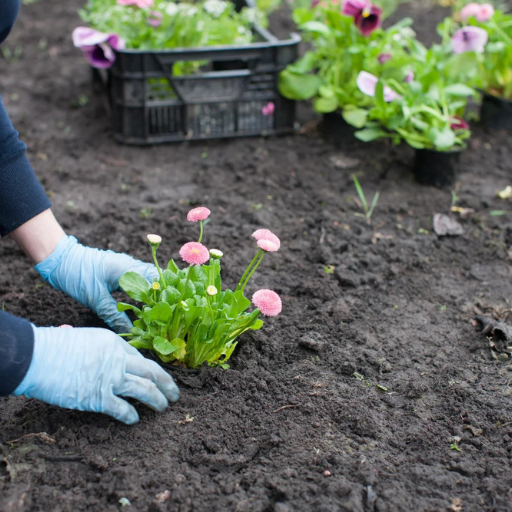 best organic bloom fertilizer 