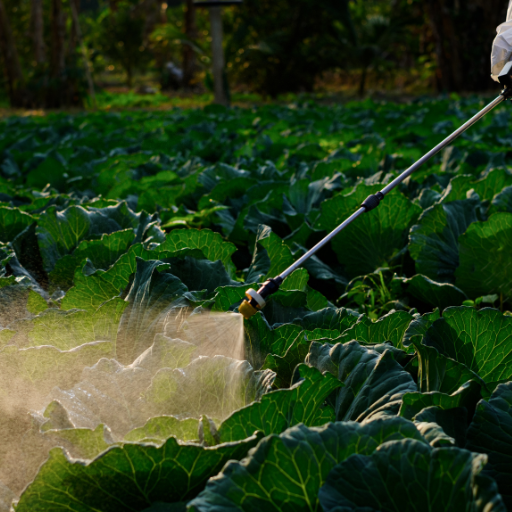 vegetable fertilizer