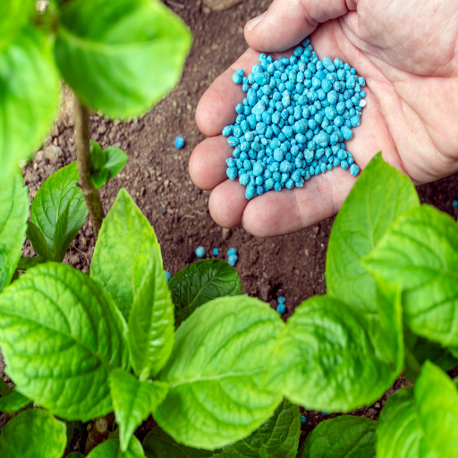 what organic fertilizer is high in nitrogen