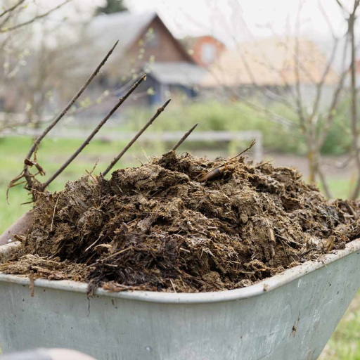 What Nutrients Does Chicken Manure Provide?