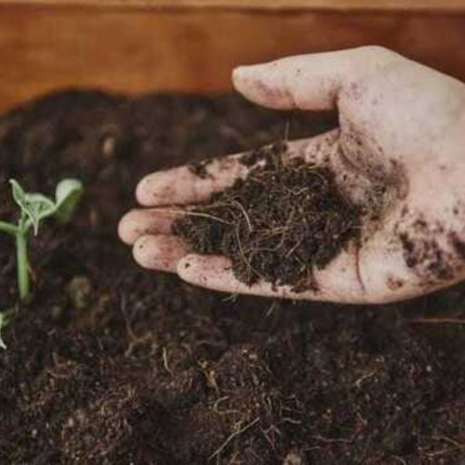 What is Organic Dry Fertilizer?