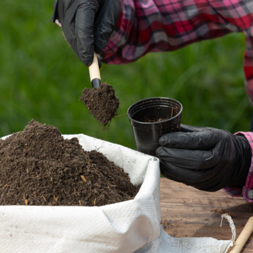 Benefits of Using Organic Dry Fertilizer