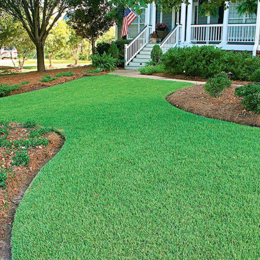 natural organic lawn fertilizer
