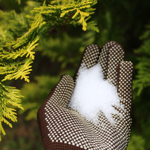 epsom salt is good for plants