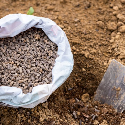 organic fertilizer production from chicken manure