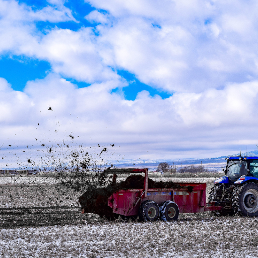 chicken manure as organic fertilizer