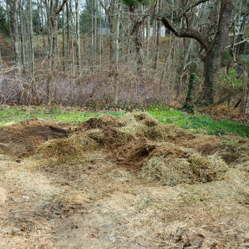 organic fertilizer made from chicken manure