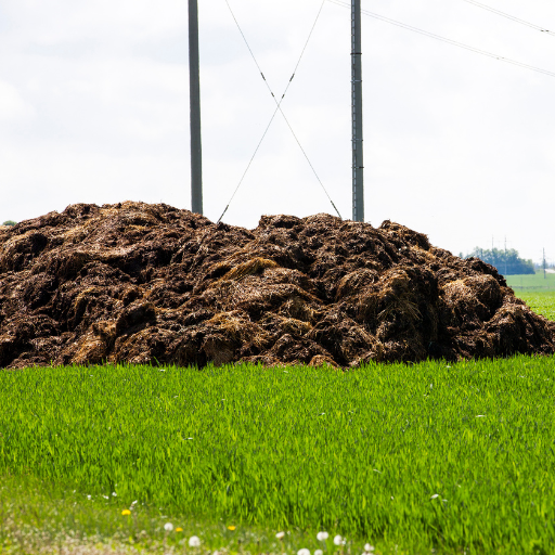 organic fertilizer using chicken manure