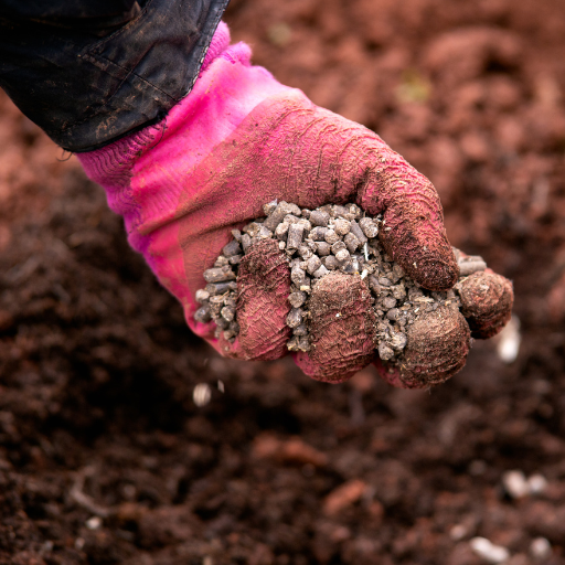 organic fertilizer pellets chicken manure