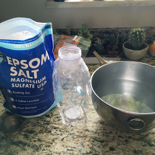 epsom salt to water ratio for plants