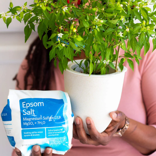 epsom salt pepper plants