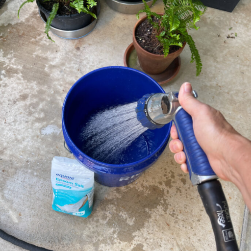 How to Use Epsom Salt to Kill Weeds?