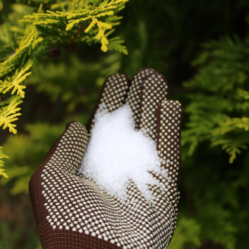 epsom salt pepper plants