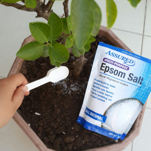 epsom salt uses in plants