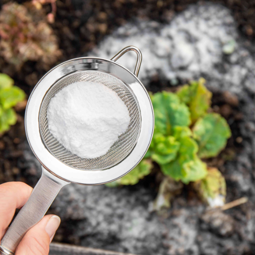 baking soda and epsom salt for plants