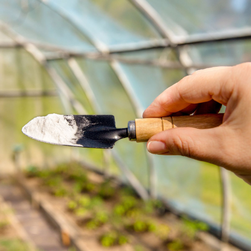 What plants benefit most from epsom salt and baking soda?