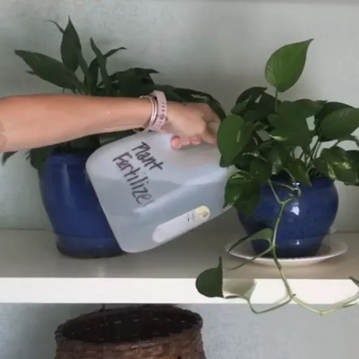 Can Epsom Salt Help with Specific Plants?