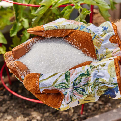 How can nutrient deficiencies in potted plants be treated with epsom salt?